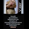 user4241478188142