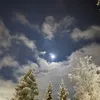 john_194642
