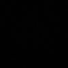 regzanihyee_