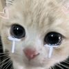 milksea2