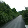 tnthi702