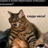 slavikbyndyk