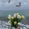 oum.khaled70