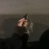 dino._rizz09