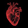Onlyheart