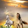 fawzi.khalid4