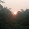 wariso.arlie