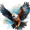 ibrahimshah04433