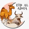 alya_6464