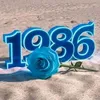 ali.abbas02173