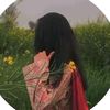 sakura_bbz8