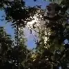 ariana.neatu0