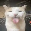 qwezzx_