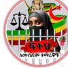 niemamohammed781