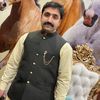raja.parvez56