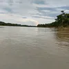 gerbesonsouza1