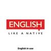 English in daily use