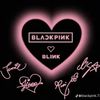blinksfan16
