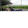 teh.rio702