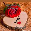 user8661314487256