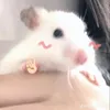 hphuocnguyn_09