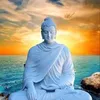 kim.nguyn8002