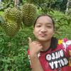 user22053616812653