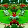 user3314112075363