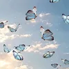 wwji_21