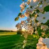 jana.mahmoud737