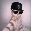 saboiiii2