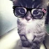 steshok_pi