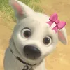 pfwelas