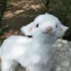 angnhangnhangbeebee