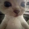 skyler_s10928