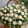 user568ieoo211