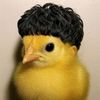jhossielmaldonado