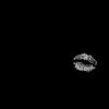 aileenramirez975