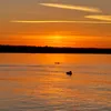 livekonto.10