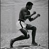 yacinboxing