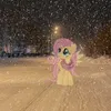 itordw