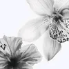 ccupidz_y4