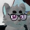miro.raccoon