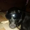 bangwoonmes
