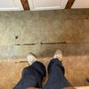 colt_221