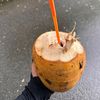Fishfreek-