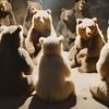 danbear14