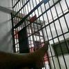 g_luis_b_16