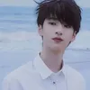 𝑻𝑵𝑻•𝒀𝑨𝑵