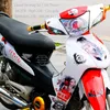 nguyn.i088